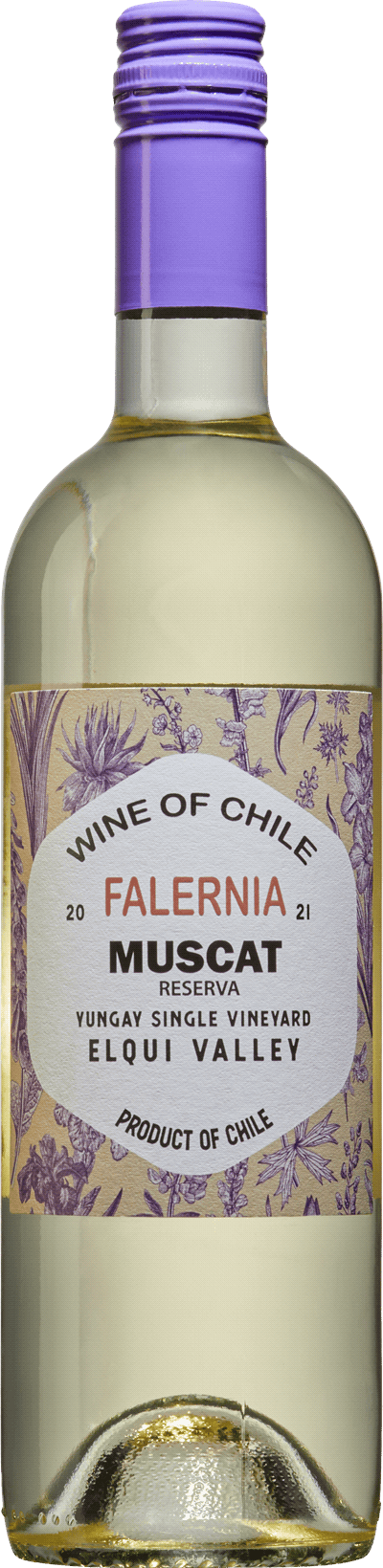 Falernia Muscat 