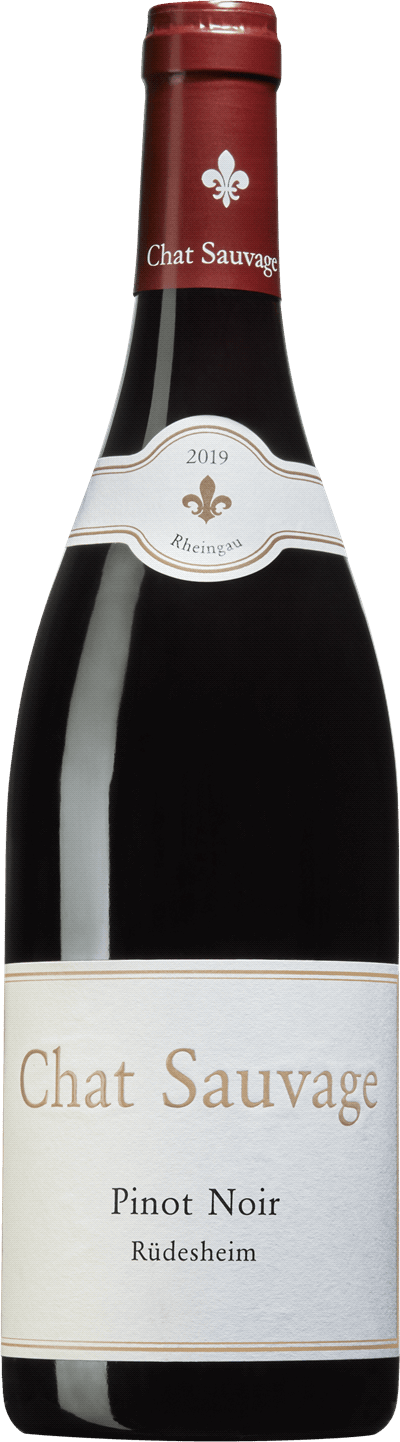 Chat Sauvage Pinot Noir Rüdesheim, 2019