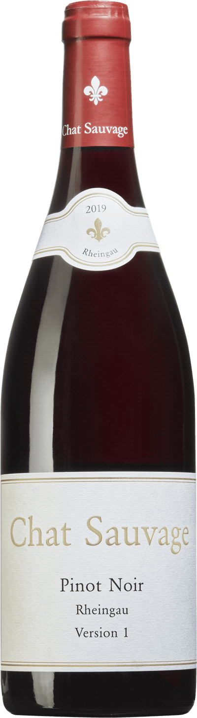 Chat Sauvage Pinot Noir Version 1, 2019