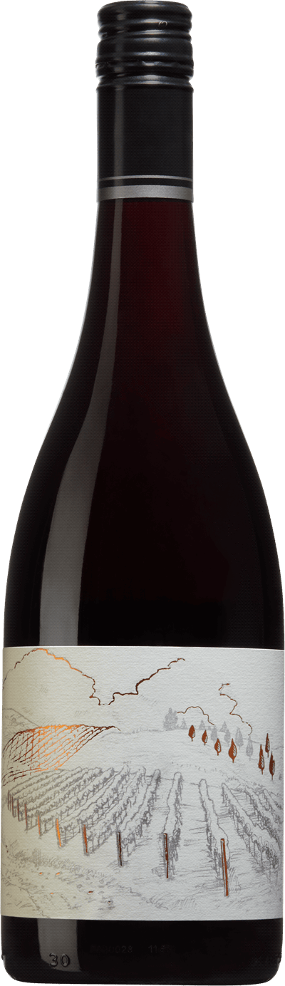 Greystone Vineyard Ferment Pinot Noir, 2019