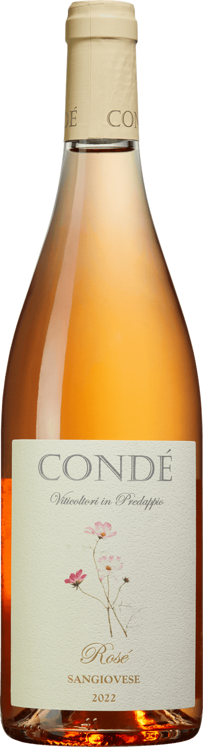 Condé Sangiovese Rosé