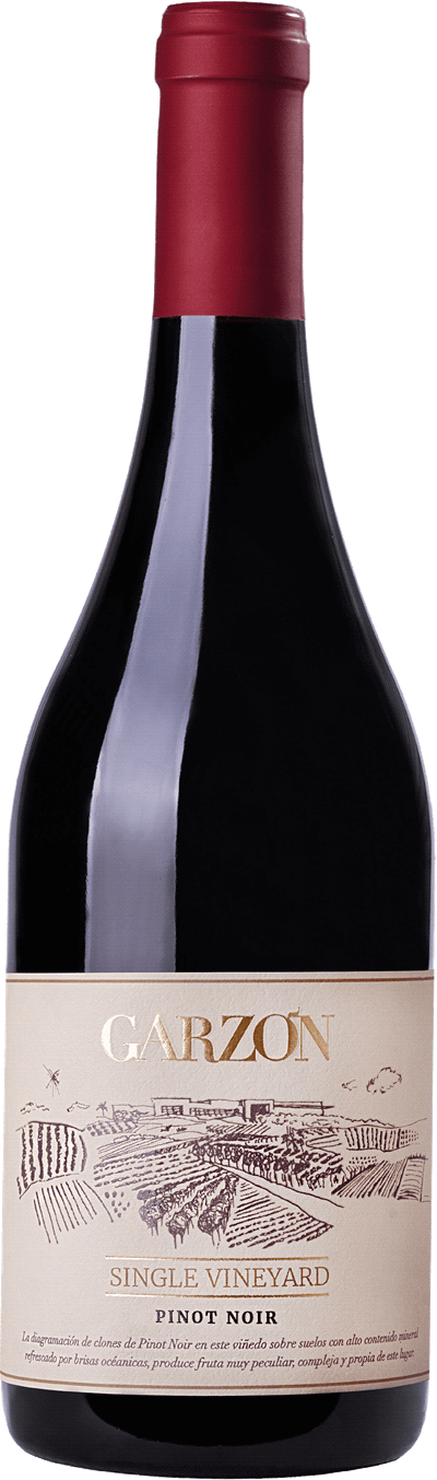 Bodega Garzón Single Vineyard Pinot Noir, 2019