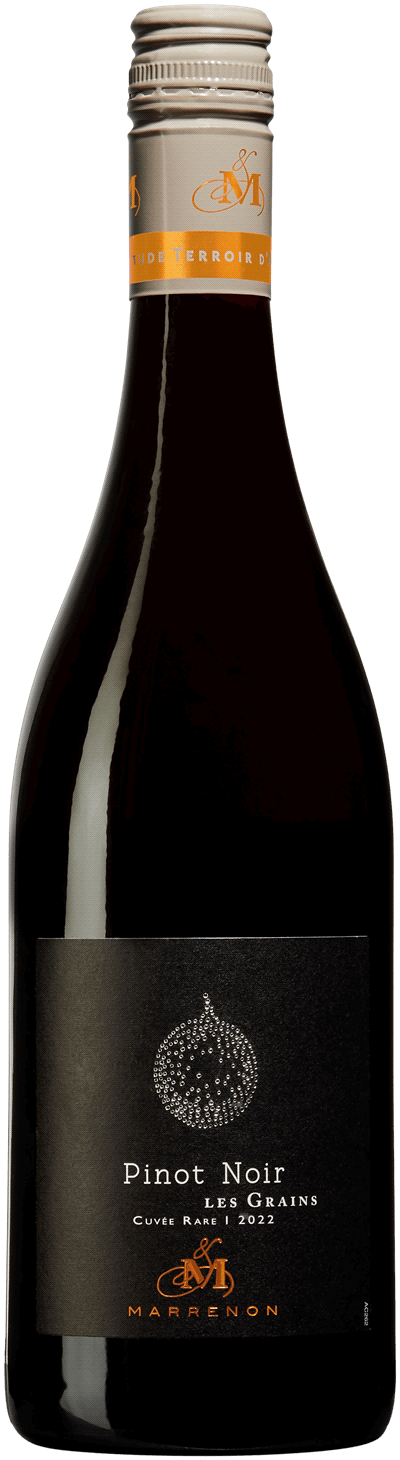 Moutarde avec Pinot Noir, Dijonsenap med Pinot Noir rott vin, Fallot, 105  g, Glas