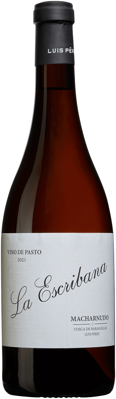 La Escribana Vino de Pasto, 2021