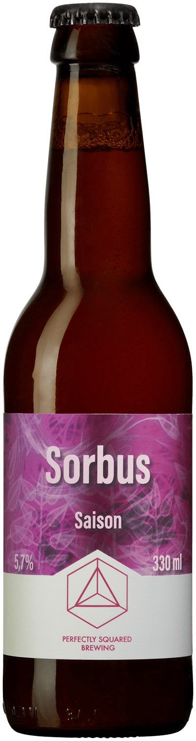 Perfectly Squared Brewing Sorbus