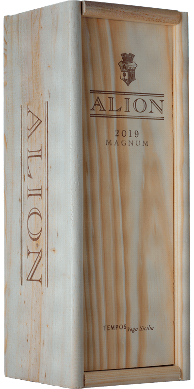 Bodegas Alion Magnum