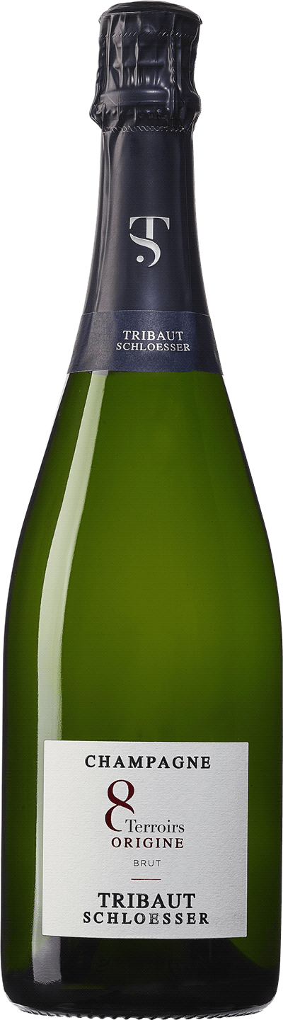 Champagne Tribaut Brut Origine