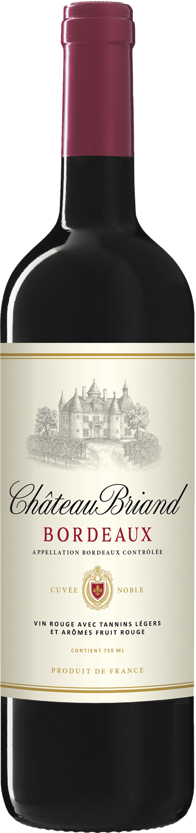 Château Briand 