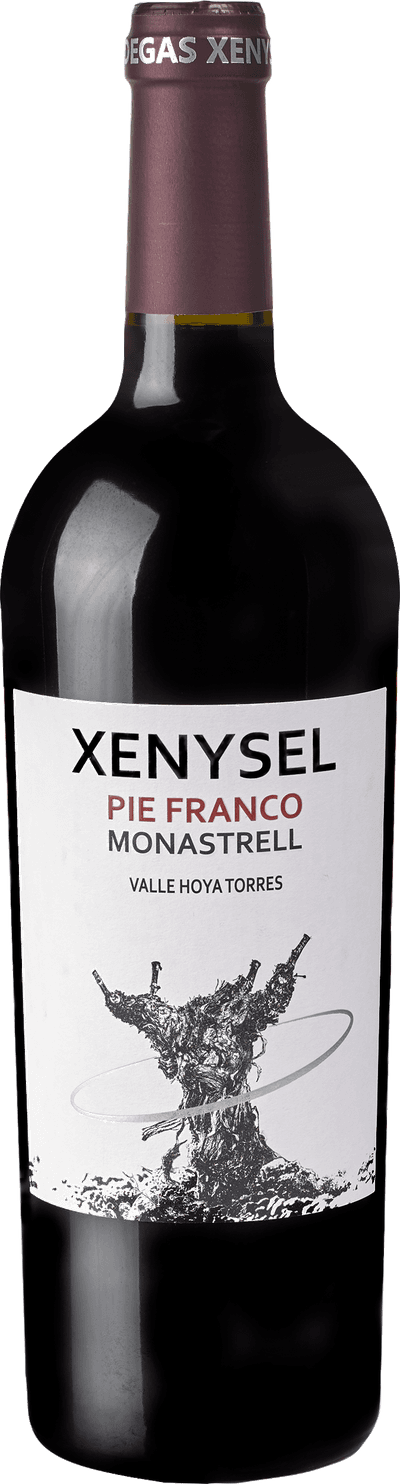 Xenysel Pie Franco