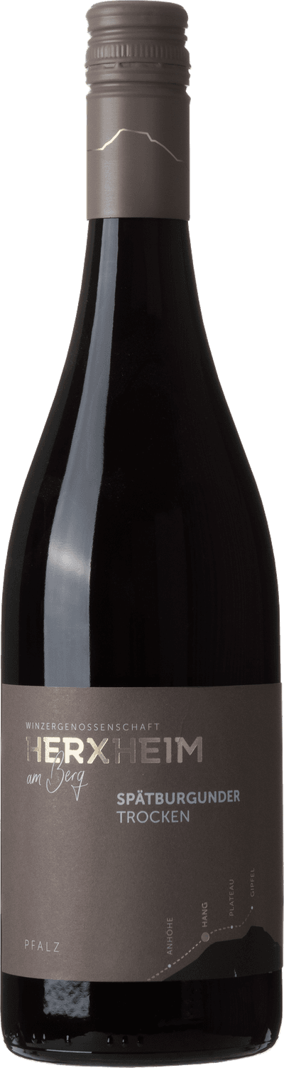 Herxheim Pinot Noir