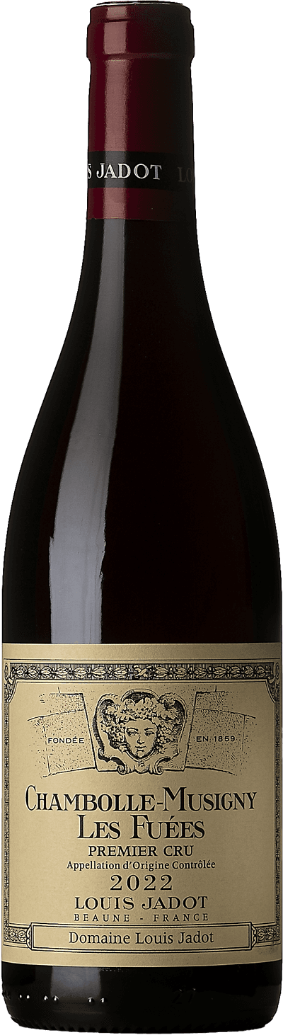 Chambolle-Musigny Premier Cru Les Fuées Domaine Louis Jadot