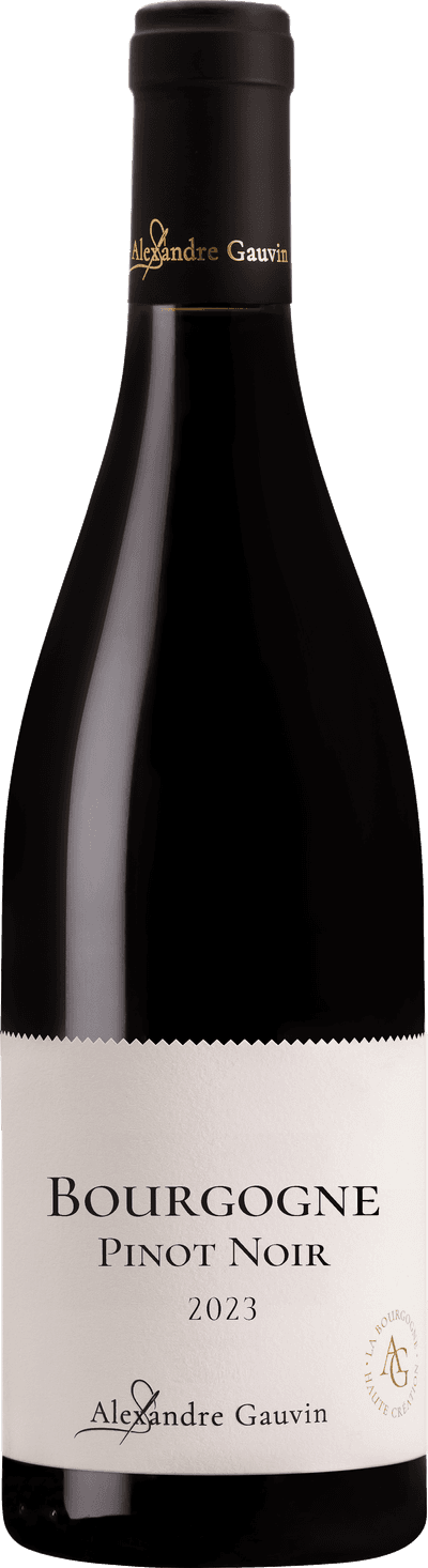 Bourgogne Pinot Noir Alexandre Gauvin