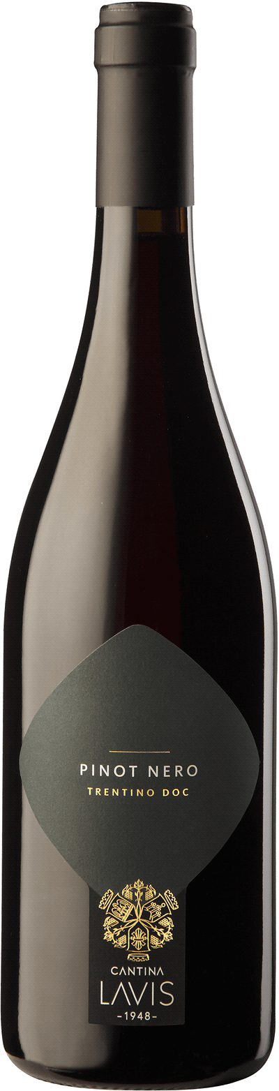 Cantina Lavis Pinot Nero