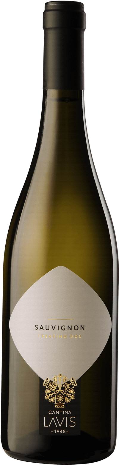 Cantina Lavis Sauvignon