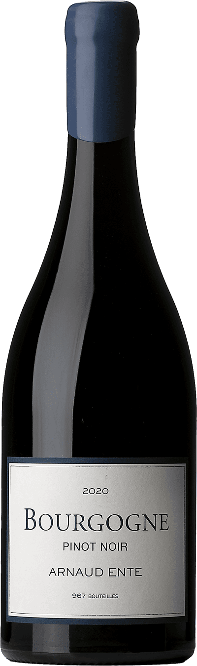 Bourgogne Rouge Arnaud Ente