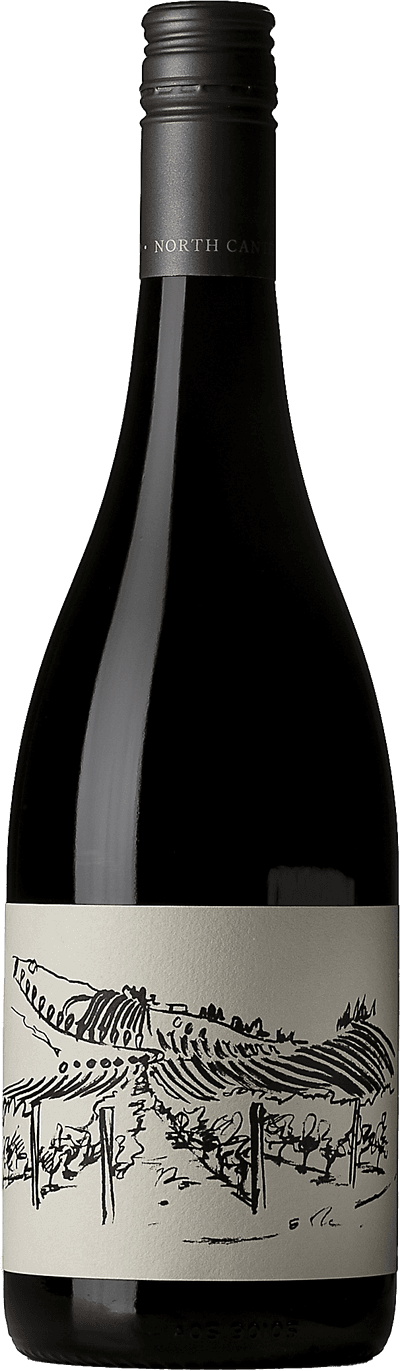 Greystone Vineyard Ferment Pinot noir