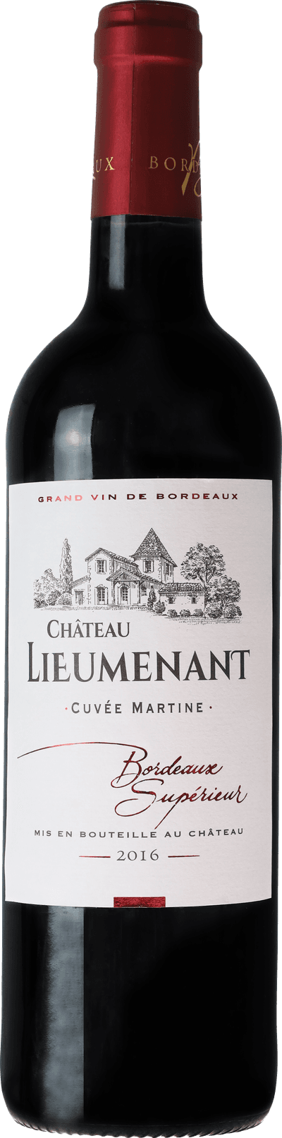 Chateau Lieumenant 