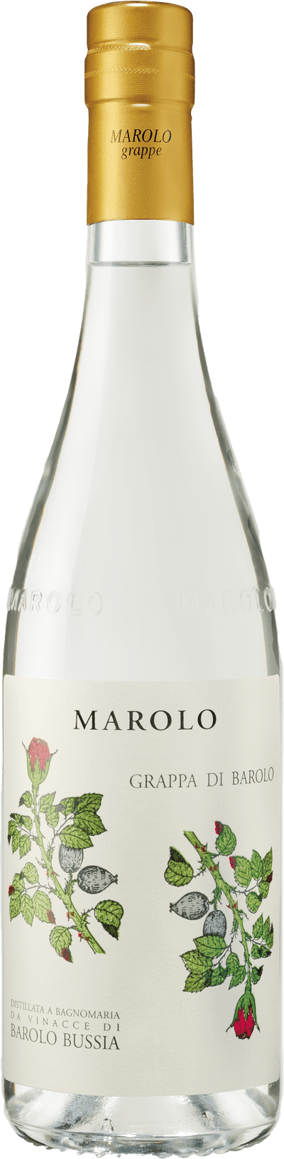 Marolo Grappa di Barbera