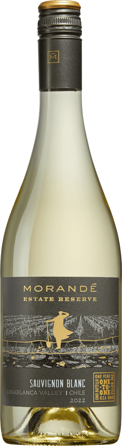 Morandé Estate Reserve Sauvignon Blanc