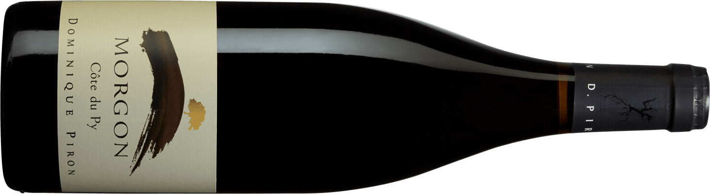 SAQ Morgon ‘Sève Primaire’ 2022, Maison Piron main image 1